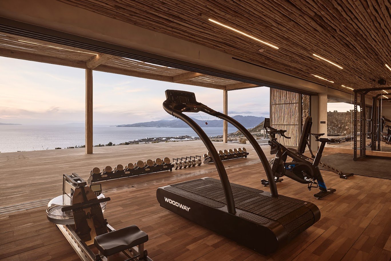 private villa gym, Mykonos, Greece 